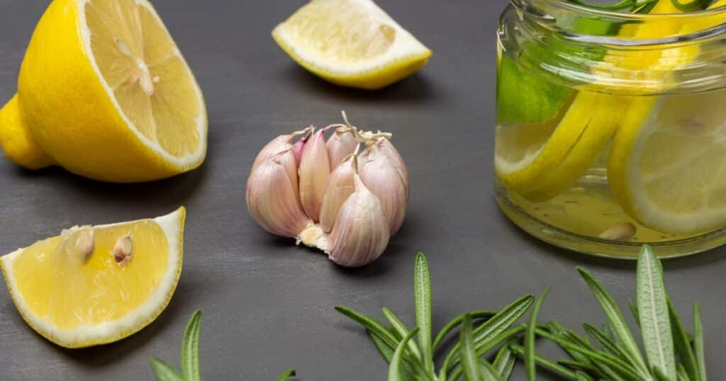 Épices Méditerranéennes : Saveur Avec Des Bienfaits Pour La Santé